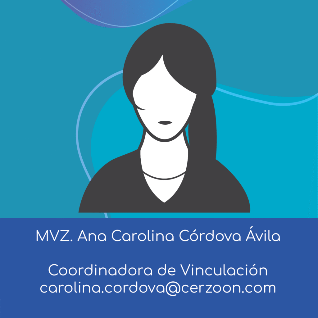 Coordinador de vinculación