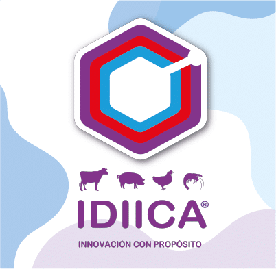 Idiica