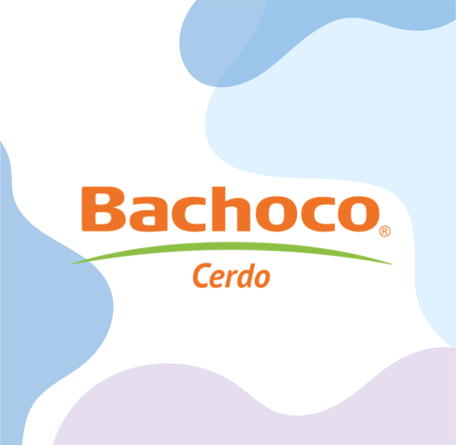 Bachoco